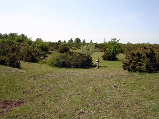 Dröstorp naturreservat