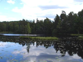 Barsjön Vedema