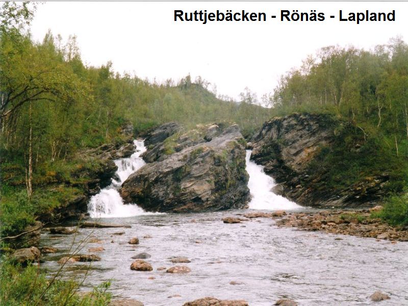 ruttjebacken3.jpg